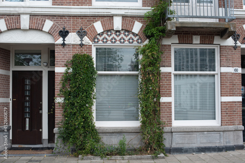 brick wall building with ivy in Amsterdam