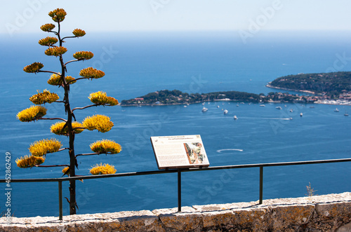 Eze France Panoramic view of the cote d'azur