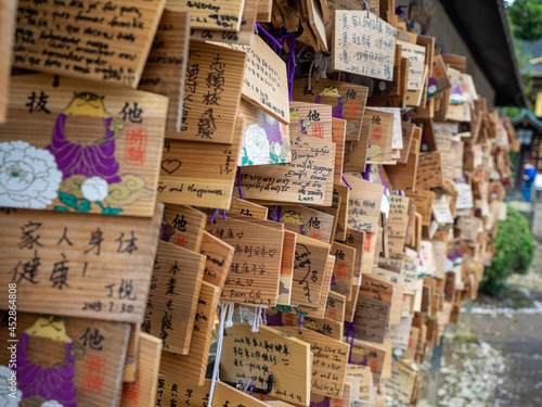Wish boards ("ema") at Zojoji shrine in Tokyo, Japan