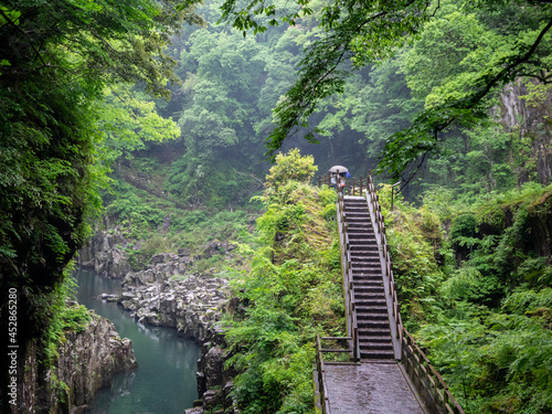 Canvas-taulu The nature of Takachiho gorge, Japan
