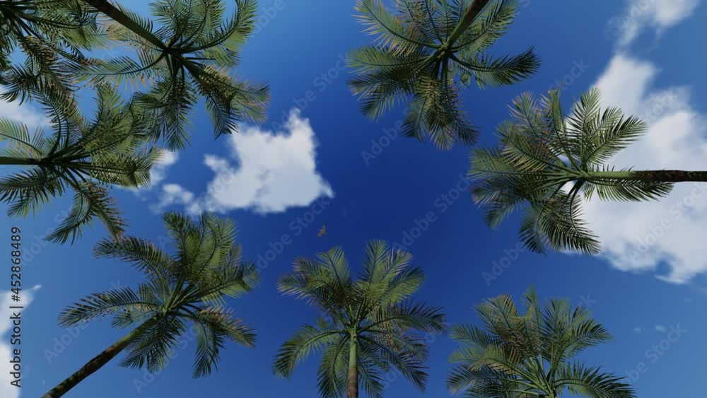 View of the Palm Trees Passing by Under Sunny Blue Skies. Wide Shot of Driving with Camera Looking up at Palm Trees in 4K format POV Tropical Vacation. 4K Rendering.
View of the Palm Trees Passing by Under Sunny Blue Skies. Wide Shot of Driving with Camera Looking up at Palm Trees in 4K format POV Tropical Vacation. 4K Rendering.