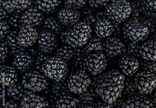Close up of shiny fresh blackberries, top view