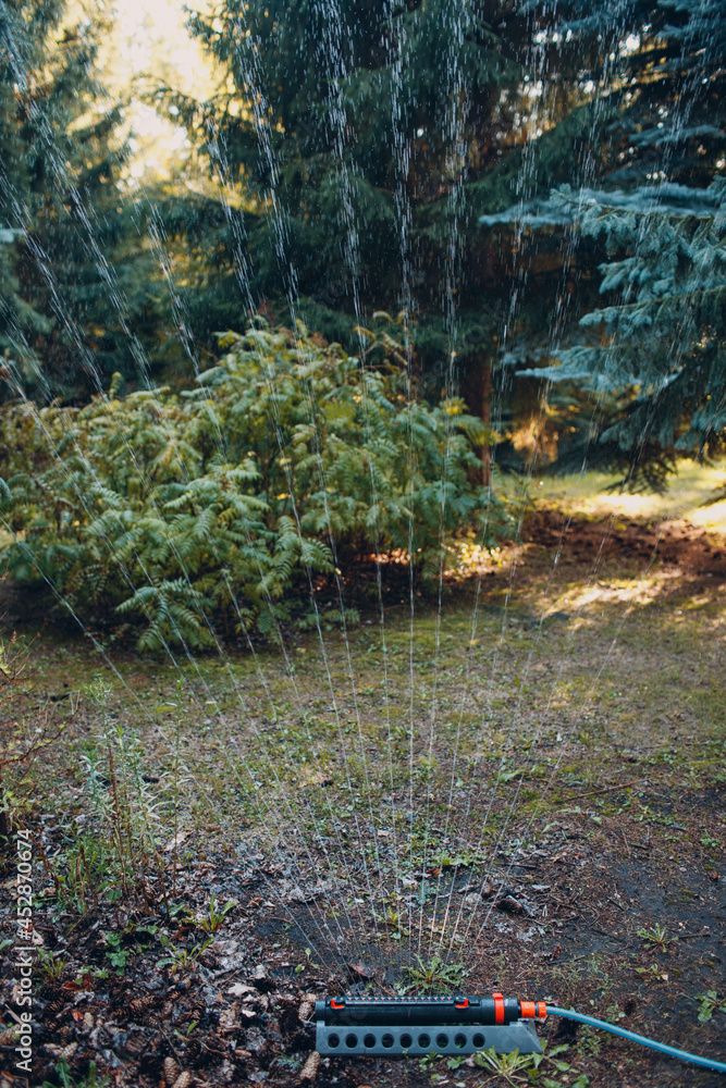 Fototapeta premium Lawn sprinkler spaying water over green grass at garden park. Irrigation system