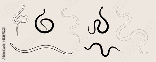 Snake silhouette, line design set. Icon of reptile. Vector illustration, EPS 10