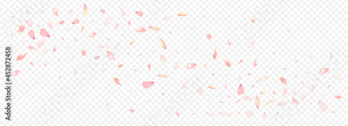 Light Apple Vector Panoramic Transparent