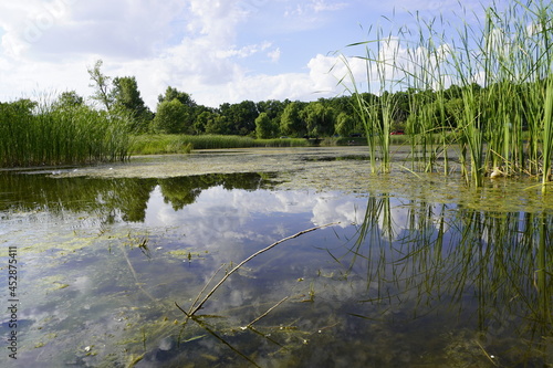 Fototapeta Naklejka Na Ścianę i Meble -  Summer landscape with small lake in forest Shinny sun reflected in the lake