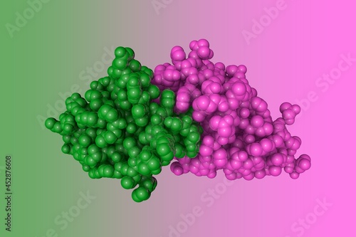 Space-filling molecular model of the N-terminal domain of carcinoembryonic antigen (CEA). Rendering with differently colored protein chains based on protein data bank. 3d illustration photo