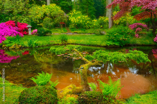 Japanese garden  Park Clingendael  The Hague  Netherlands