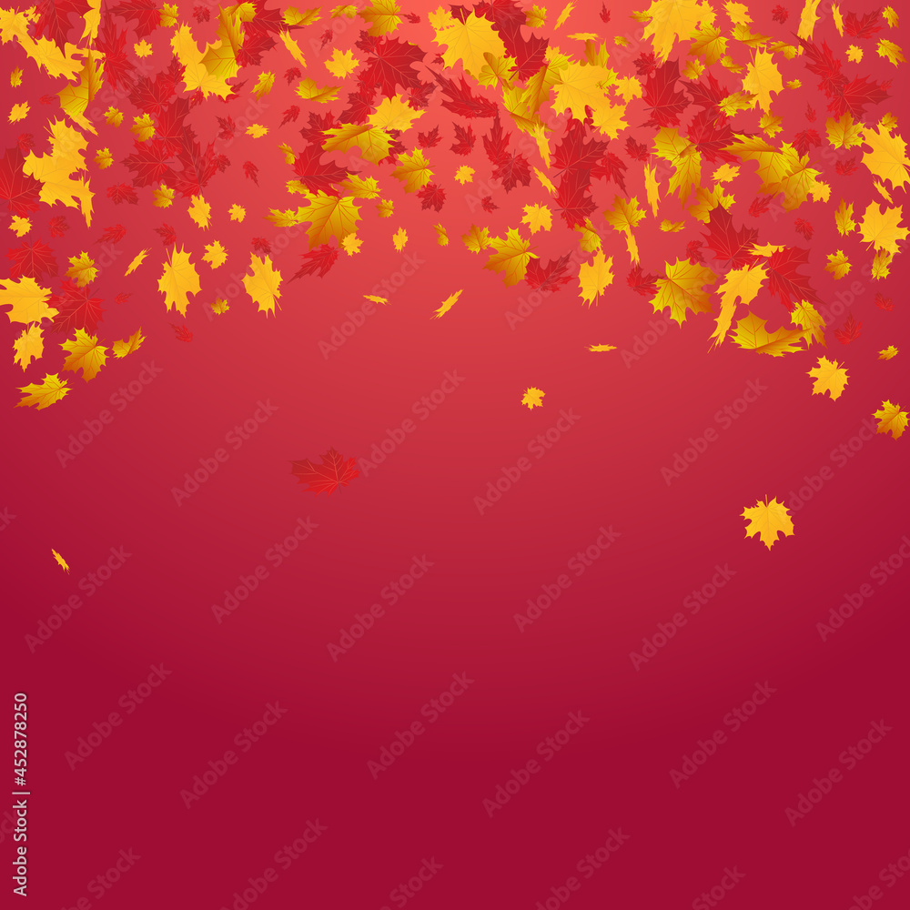Green Leaf Vector Red Background. Canadian Leaves