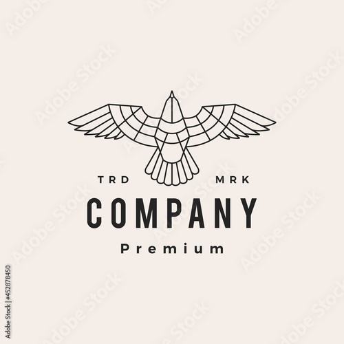 seagull roar fly top view hipster vintage logo vector icon illustration