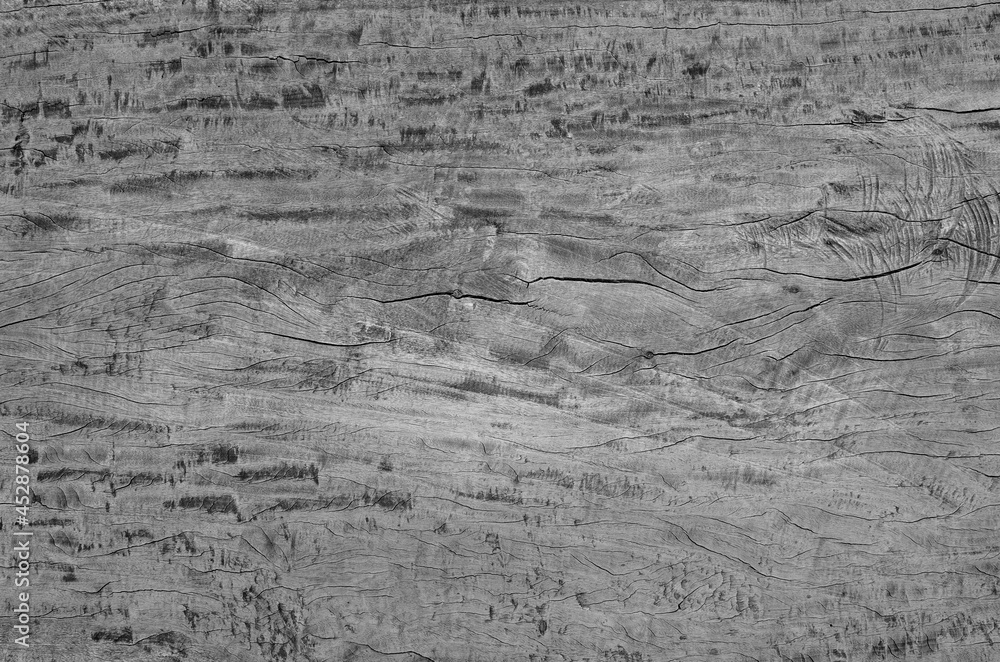 Gray wood texture. Abstract wood use as natural background surface with old natural pattern.. Gray wood texture. Abstract wood use as natural background surface with old natural pattern..