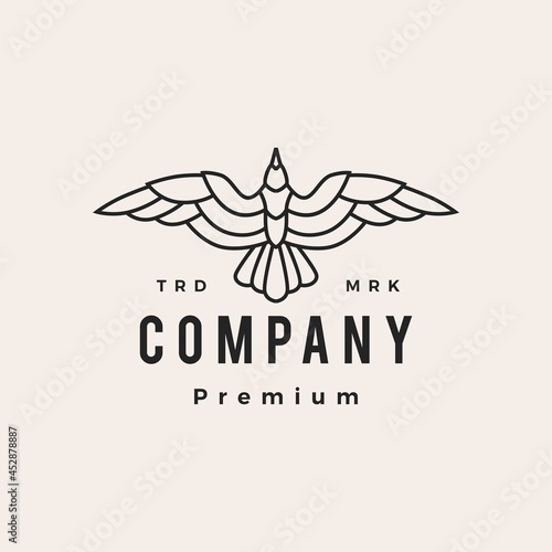seagull roar fly top view hipster vintage logo vector icon illustration
