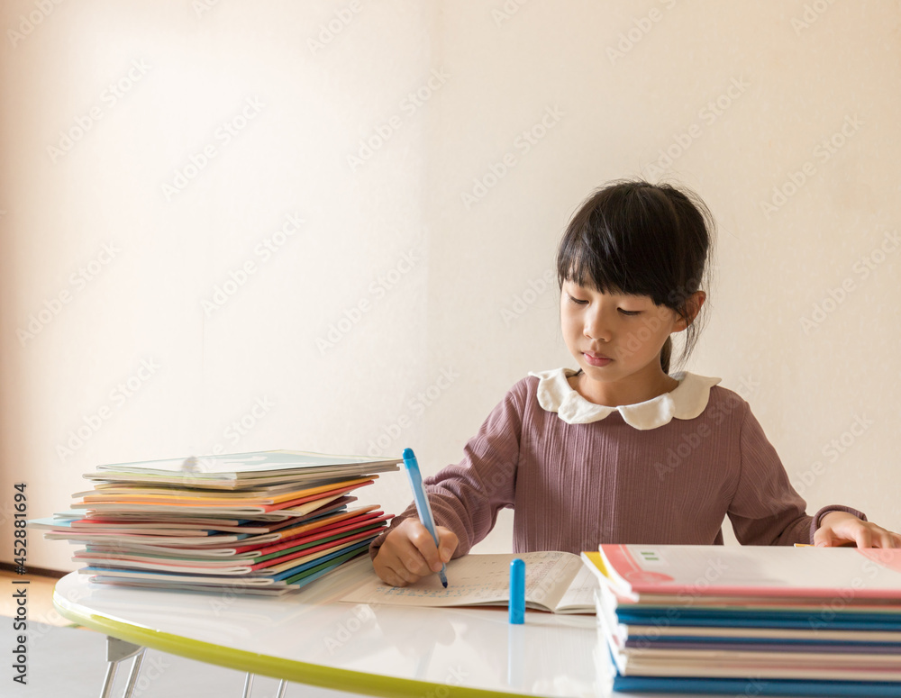 家のリビングで宿題をしている小学生の女の子の様子 家のリビングで宿題をしている小学生の女の子の様子