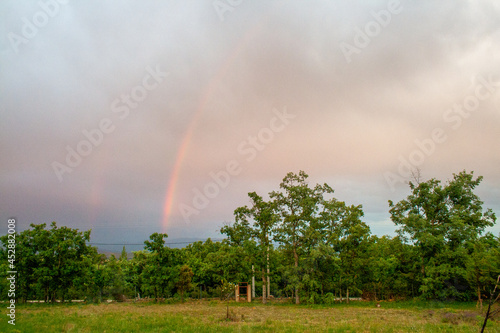 sky with clouds and rainbow with trees and grass in the foreground