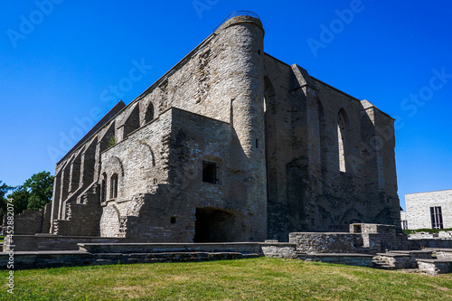 view of the ruins of the Saint Brigitta Convent in Pirita near Tallinn photo