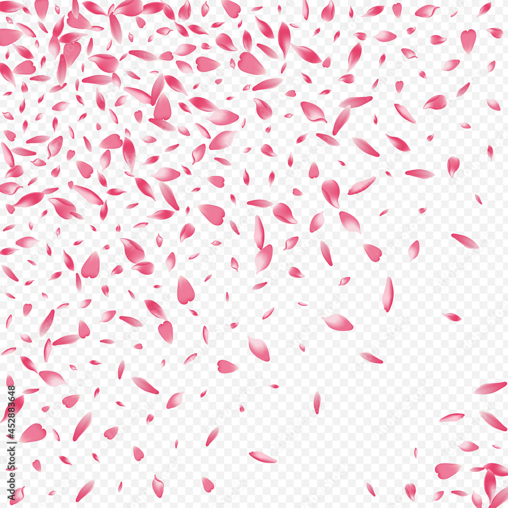 Bright Rosa Vector Transparent Background. Apple
