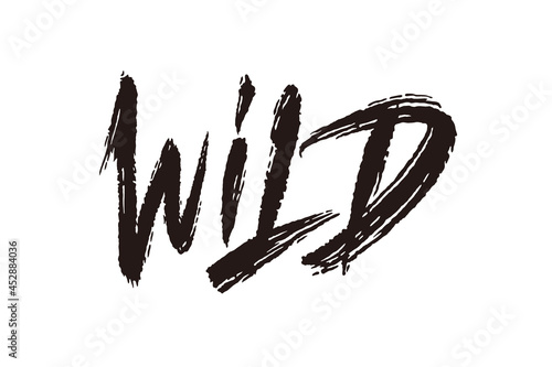 Wild vector lettering