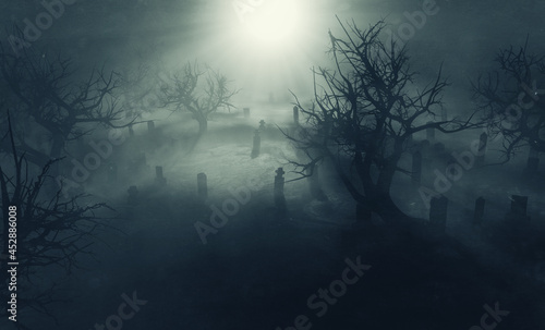 old cemetery and trees in moon light