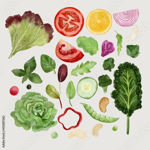 Fototapeta Naklejka Na Ścianę i Meble -  watercolor vegetables illustration
