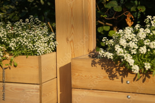 flowers in a wooden box