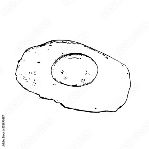 fried egg sunny side up yolk sketch illustration