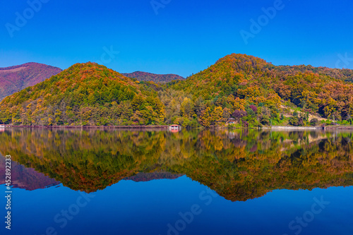 It is a ginkgo tree in the autumn sky in the reservoi photo