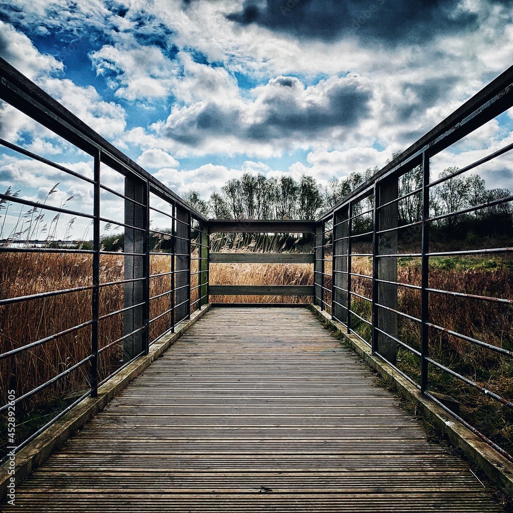 Leading lines of a bridge looking into a nature reserve