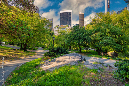 Central Park summer © John Anderson