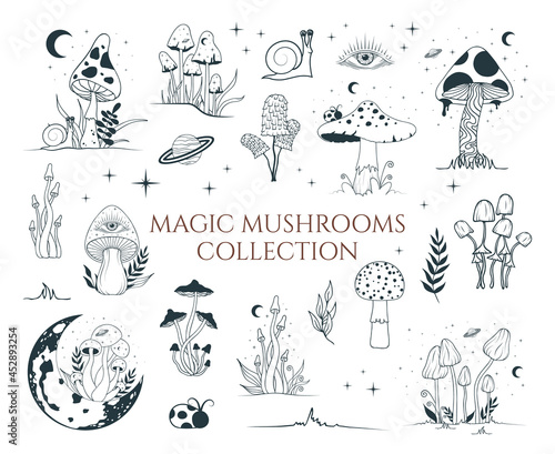 Big mystical collection with magic mushrooms, floral elements. Celestial fungi set. Witchy tattoo and occult clipart with moon and stars. photo