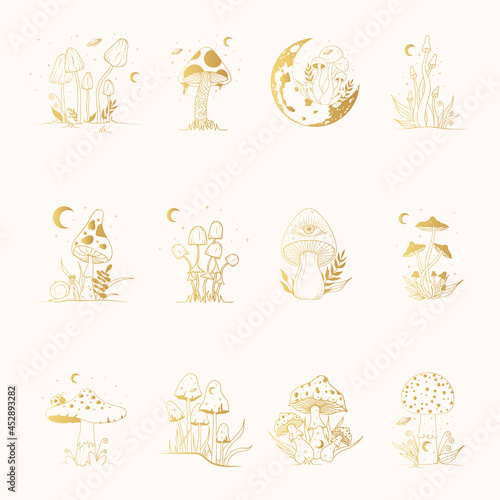 Big golden set with mystical, magic mushrooms. Gold celestial fungi collection.