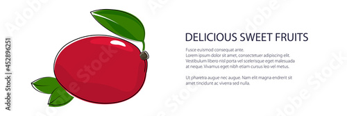 Red mango banner , tropical fruit isolated on white background, vector illustration