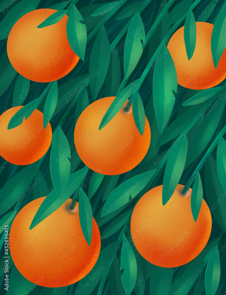 Oranges ore tangerins and leaves on branches. Tropical summer citrus