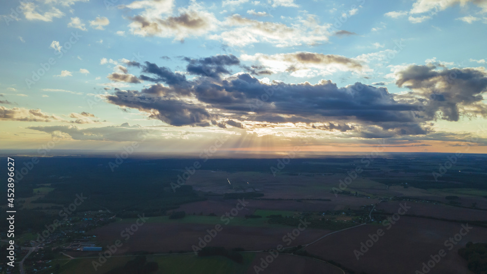 Pine forest from a height. Aerial drone view over a lush green pine forest. Nature concept.