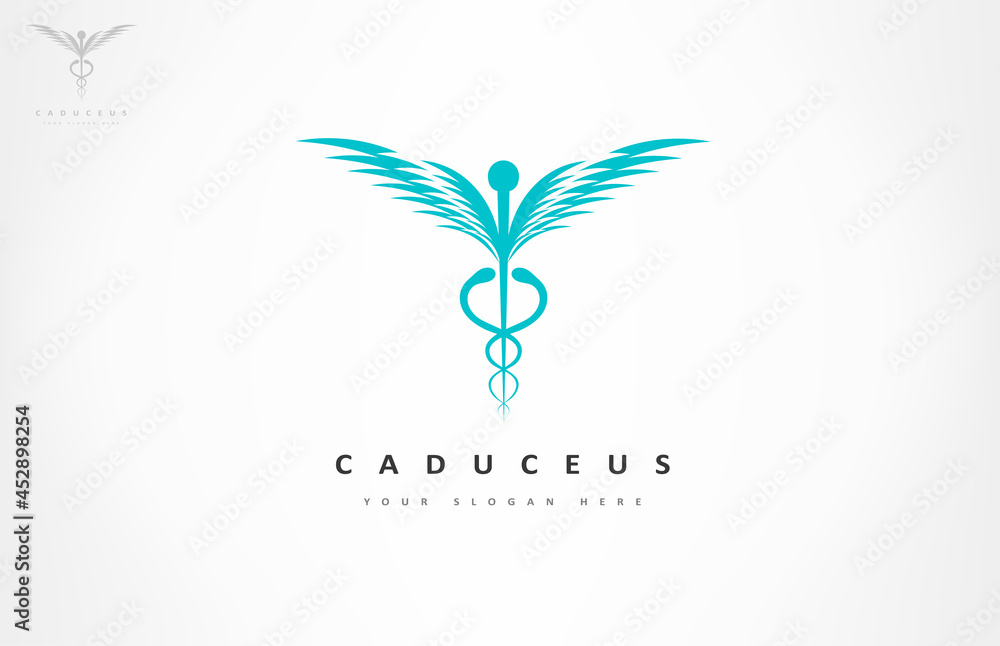 caduceus medical logo vector design caduceus medical logo vector design
