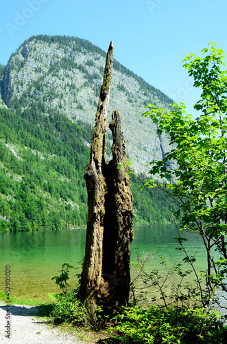 Germany, Bavaria, Koenigssee photo