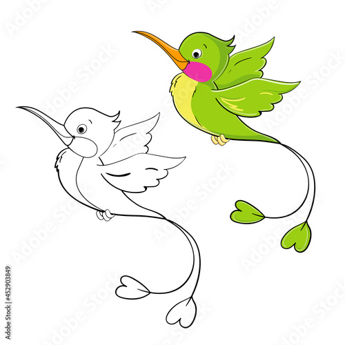 Beautiful hummingbird birds in one line and colored. Vector cartoon illustration. Funny summer animals
