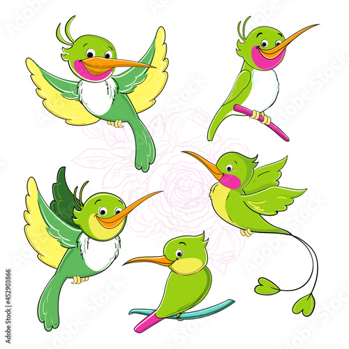 Beautiful set with hummingbird birds and flower in one line. Vector cartoon illustration. Funny summer animals