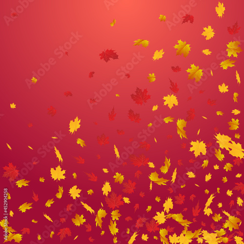 Ocher Leaf Vector Red Background. Canadian Leaves © Natallia