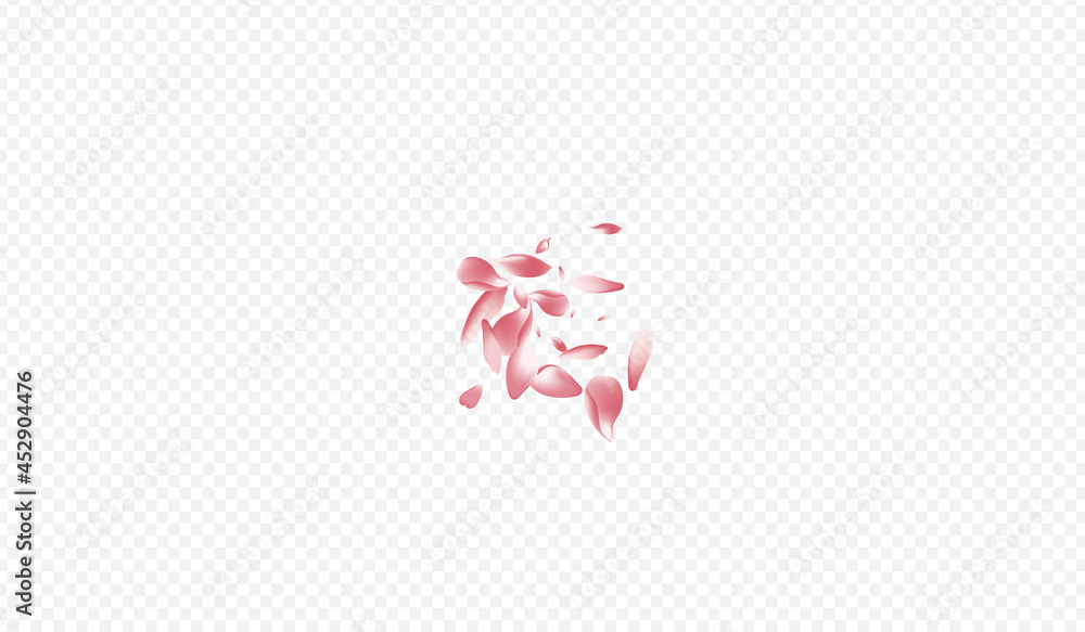 Red Apple Vector Transparent Background. Rosa Red Apple Vector Transparent Background. Rosa