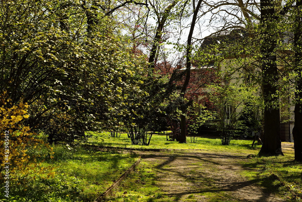 Spring blooming trees in the botanical garden