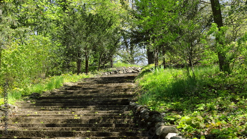 Old stone stairs in the city botanical park