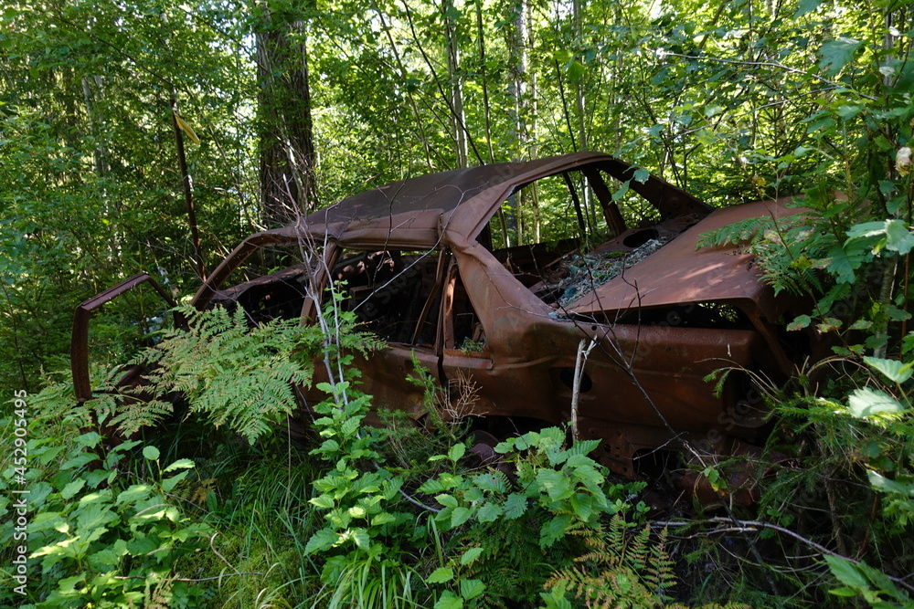 Burned car in the forest