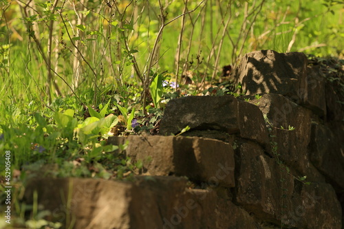 Old stone walls in a city park