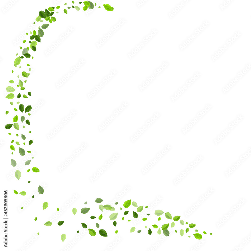 Grassy Leaf Abstract Vector Illustration. Falling Grassy Leaf Abstract Vector Illustration. Falling