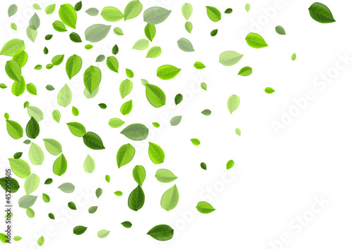 Green Foliage Realistic Vector Template. Spring