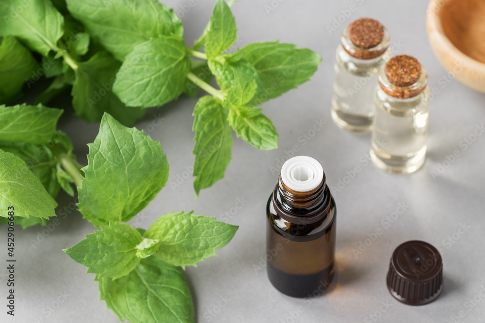 Mint essential oil. Mint leaves, oil in small glass bottles. Gray background Mint essential oil. Mint leaves, oil in small glass bottles. Gray background