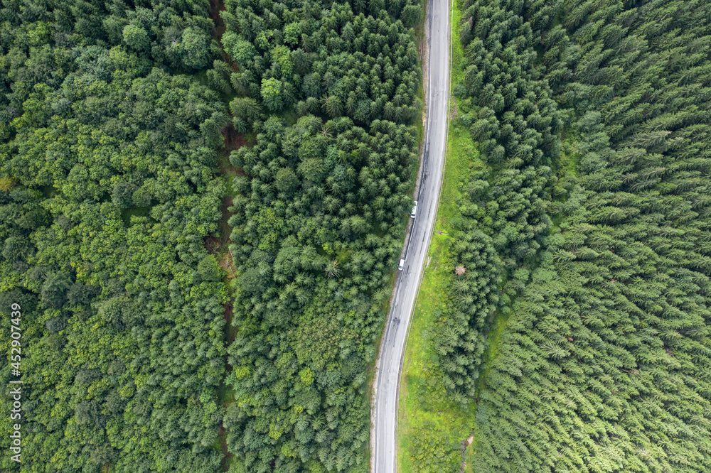 Aerial view from above of a country road through a green forest. drone shooting