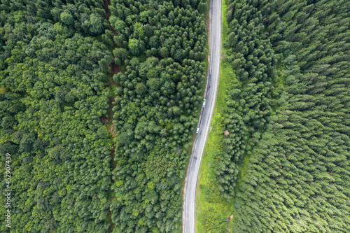 Aerial view from above of a country road through a green forest. drone shooting © vadim_fl
