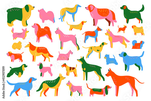 Dog breeds set, 30 hand drawn colouful vector illustrations