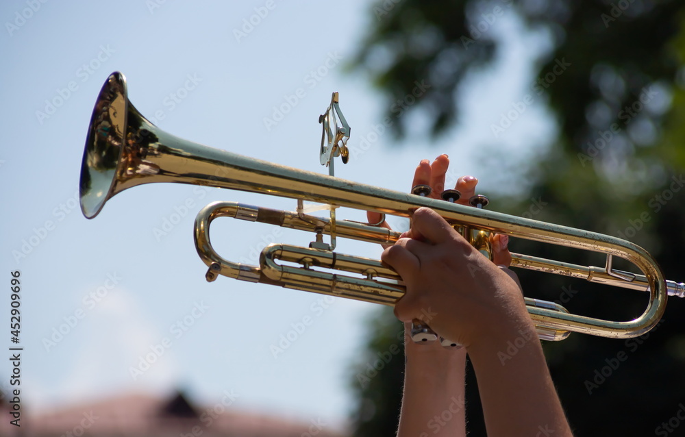 Fototapeta premium playing a brass instrument. military band performs at the festival